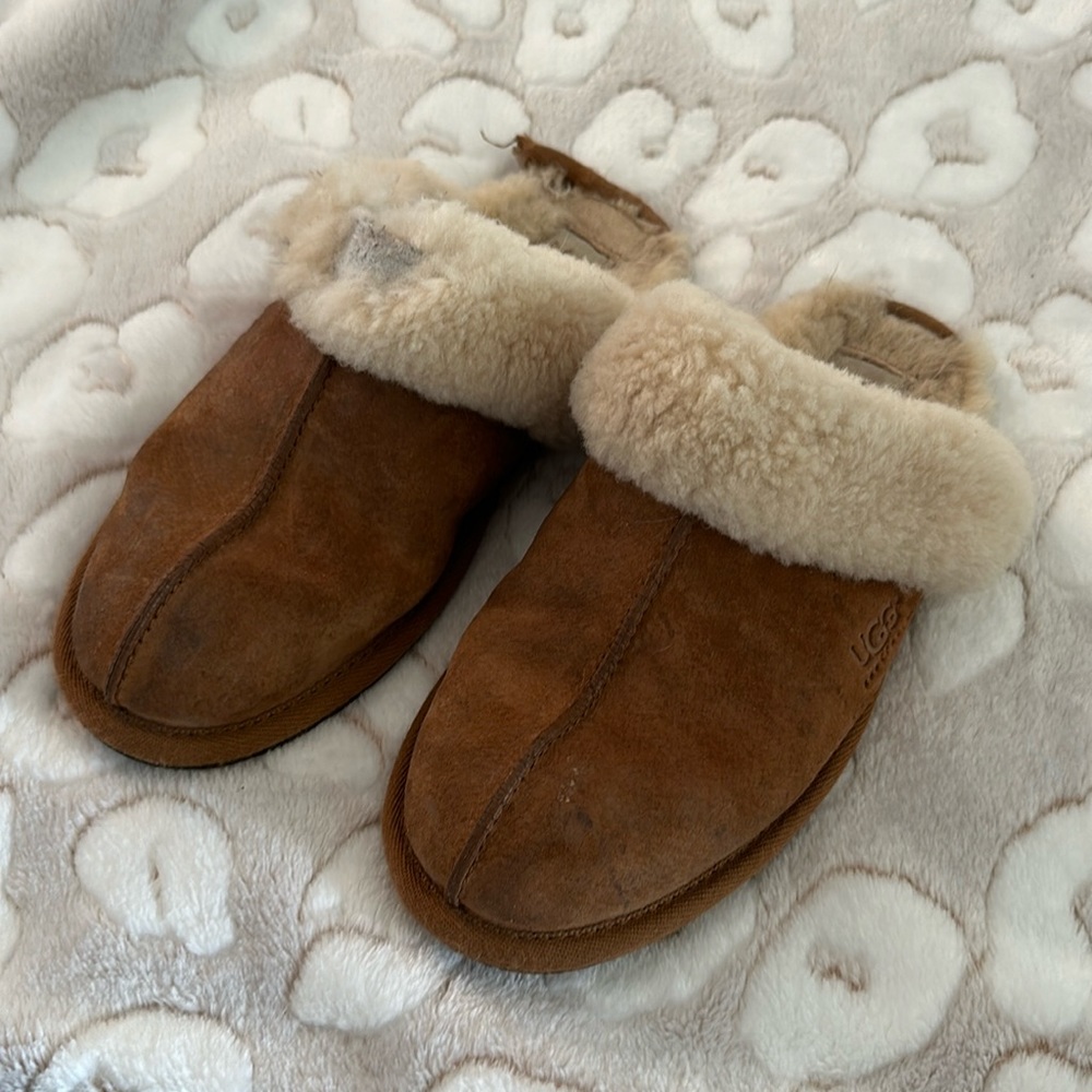 Uggs (dog chewed damage!) size 8